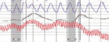 Modesto polygraph test for the public